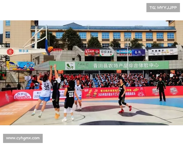 篮球两大赛事-篮球类比赛