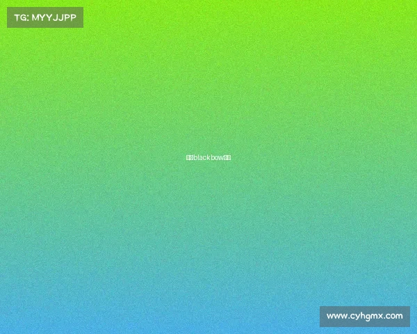 黑弓blackbow招聘